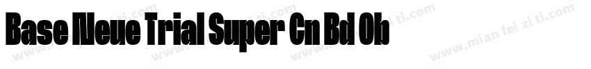 Base Neue Trial Super Cn Bd Obl字体转换